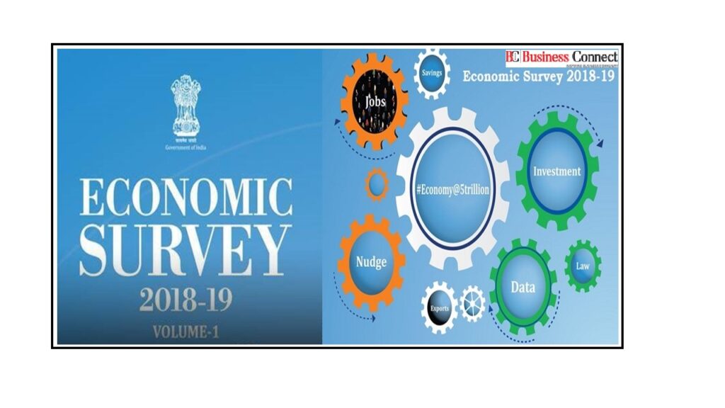 The Economic Survey 2018 - 19 - Business Connect