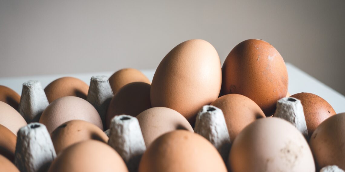 Egg | Winter food