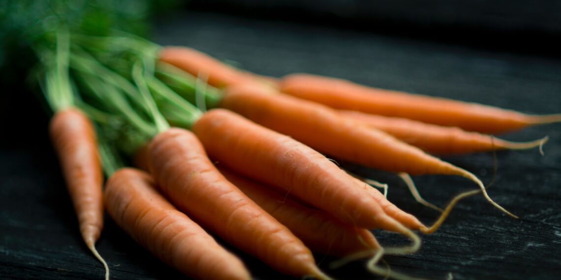 Carrot | Winter food