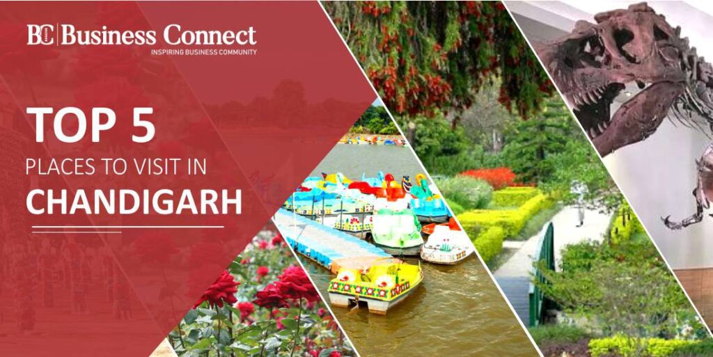 Top 5 Places to visit in Chandigarh.